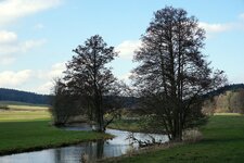 comp-@6x001788-02.jpg comp-@6x001788-02.jpg