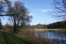 comp-@6x001795-03.jpg comp-@6x001795-03.jpg