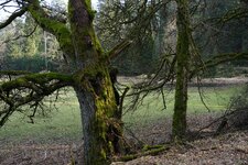 comp-@6x001819-02.jpg comp-@6x001819-02.jpg