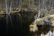 comp-@6x001829-02.jpg comp-@6x001829-02.jpg