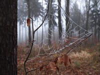 EPLB0246.jpg EPLB0246.jpg