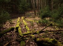 EPLB0451c.jpg EPLB0451c.jpg