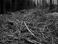 EPLB0435sw.jpg EPLB0435sw.jpg