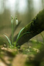 comp_IMG_5895.jpg