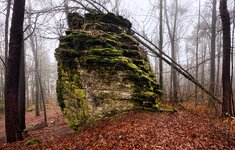 comp_1DS_0409 Kopie.jpg