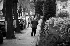 160412-13-03-44_Steglitz-Boulevard-Street-EBV.jpg