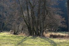 comp-@6x001872-02.jpg comp-@6x001872-02.jpg