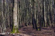 comp-@6x001879-02.jpg comp-@6x001879-02.jpg