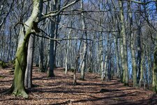 comp-@6x001910.jpg comp-@6x001910.jpg