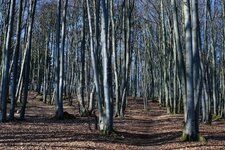 comp-@6x001912.jpg comp-@6x001912.jpg