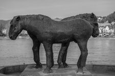 SAM_0055-2.jpg