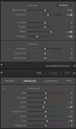 LR-Einstellung 1.JPG