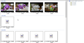 Screenshot - 024.png