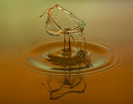 IMG_8223 - Kopie.jpg