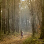 2016-03-26_4316-Bearbeitet.jpg 2016-03-26_4316-Bearbeitet.jpg