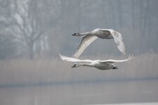 20160308-IMG_6696.jpg