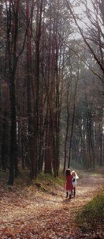 2016-03-26_4316plbearb.jpg 2016-03-26_4316plbearb.jpg