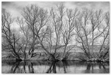 Saale19_2016.jpg Saale19_2016.jpg