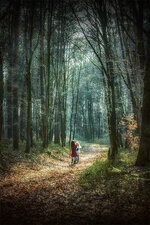 WALDLICHTUNG - 02.jpg WALDLICHTUNG - 02.jpg