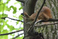 comp_DSC_0116.jpg