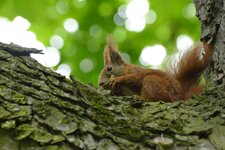 comp_DSC_0659.jpg