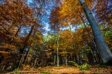 DSC_5396.jpg DSC_5396.jpg