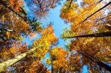 DSC_5362.jpg DSC_5362.jpg