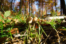 DSC_5367.jpg DSC_5367.jpg