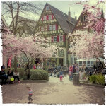 CRW_0409_01-Bearbeitet-2.jpg CRW_0409_01-Bearbeitet-2.jpg