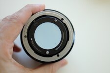 comp_IMG_9446.jpg