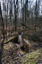 comp_DSC_9962.jpg