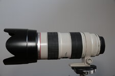 _AM_7435.JPG