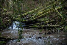 comp_DSC_0388.jpg