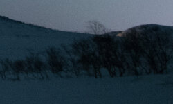 kattfjord28_rand.jpg