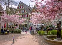 CRW_0409_01-1.jpg CRW_0409_01-1.jpg