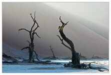 DeadVlei.jpg