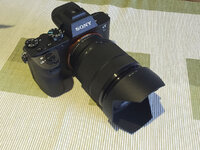 sony1.jpg