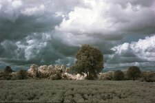 comp_IMG_0148_v2.jpg
