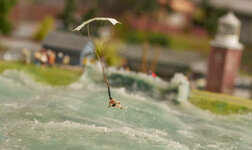 20130325NIKON D7100_RIE0560.jpg