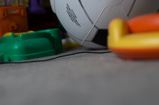 IMGP4175.jpg