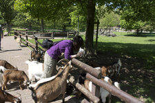 diagonaleIMG_4624.jpg