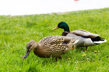 20130510-161108-3.jpg