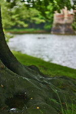 IMG_1234.jpg IMG_1234.jpg