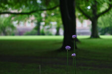 IMG_1265.jpg IMG_1265.jpg