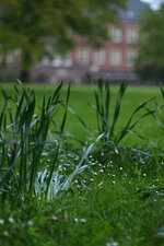 IMG_1273.jpg IMG_1273.jpg