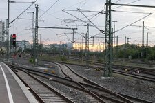 IMG_6283e.jpg