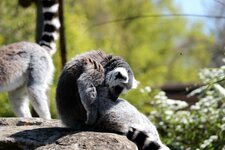 comp_IMG_4585.jpg