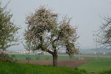 DSC00091.jpg
