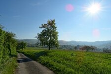 DSC00090.jpg