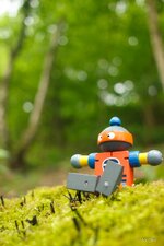 comp_IMG_7063.jpg